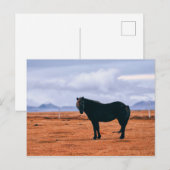Carte postale islandaise noire (Devant / Derrière)