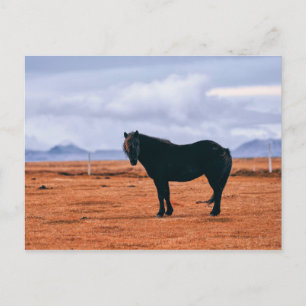 Carte postale islandaise noire