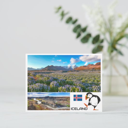 Carte Postale Islande (Debout devant)