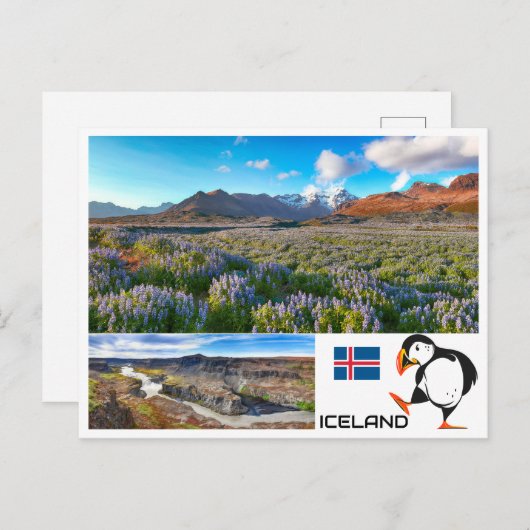 Carte Postale Islande (Devant / Derrière)