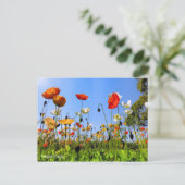 Carte Postale Islande Poppy [Carte postale] (Debout devant)