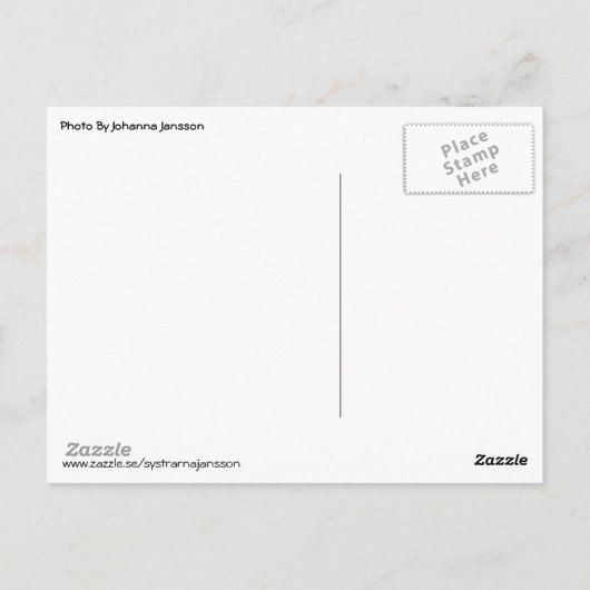 Carte Postale IslandsHästar - Häst (Dos)