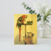 Carte Postale Islay, Tilco, un Macaw et des Inséparables de Land (Debout devant)