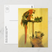 Carte Postale Islay, Tilco, un Macaw et des Inséparables de Land (Devant / Derrière)