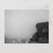 Carte postale isolée d'ours (Devant)