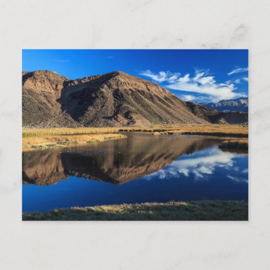 Carte Postale Isolement réfléchissant (Devant)