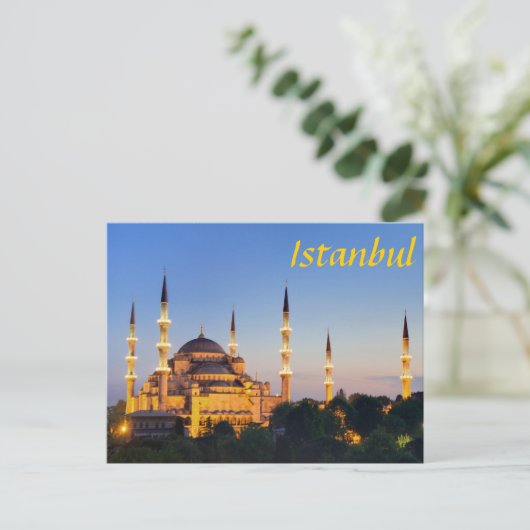 Carte Postale Istanbul (Debout devant)