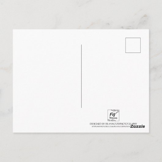 Carte Postale Italie (Dos)