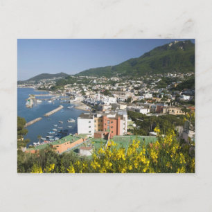 Carte Postale ITALIE, Campanie, (Baie de Naples), ISCHIE, LACCO