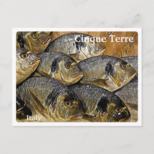 Carte Postale Italie CINQUE TERRE - daurade - (Devant)