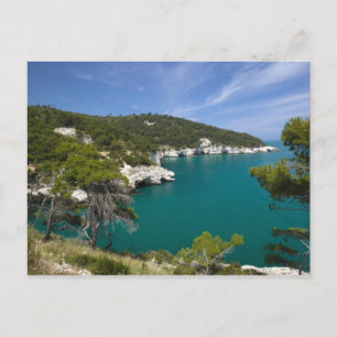 Carte Postale Italie, Pouilles, Promontorio del Gargano, Testa