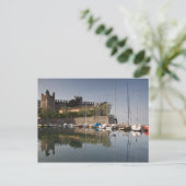 Carte Postale Italie, province de Vérone, Torri del Benaco. Il (Debout devant)