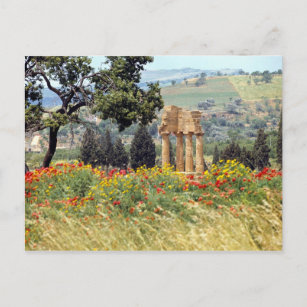 Carte Postale Italie, Sicile, Agrigente. Les ruines de