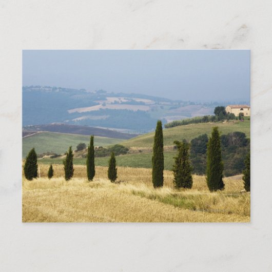 Carte Postale Italie. Toscane. Plaisance. (Devant)