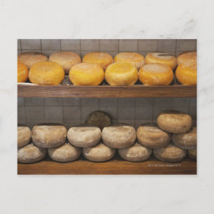 Carte Postale Italie. Toscane. Plaisance. 3