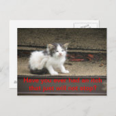 Carte Postale Itchy Kitten (Devant / Derrière)