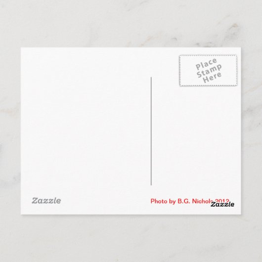 Carte Postale Itchy Kitten (Dos)