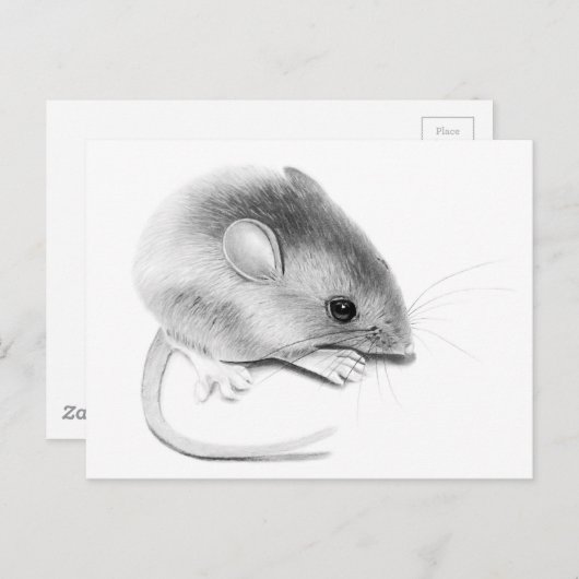 Carte Postale Itty Bitty Mouse (Devant / Derrière)