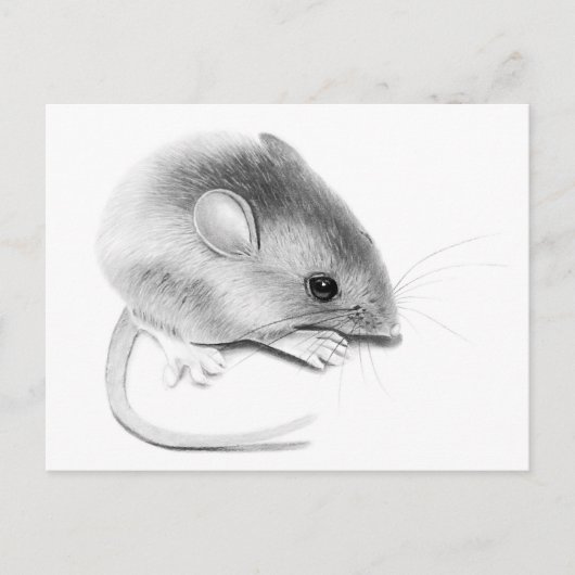 Carte Postale Itty Bitty Mouse (Devant)