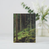 Carte Postale Ivan Chichkine - Thickets (Debout devant)