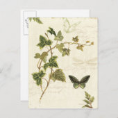 Carte Postale Ivies et papillons (Devant / Derrière)