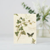 Carte Postale Ivies et papillons (Debout devant)