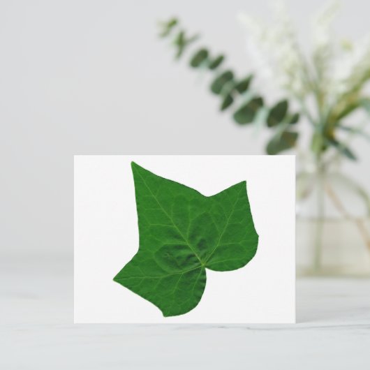 Carte Postale Ivy (Debout devant)