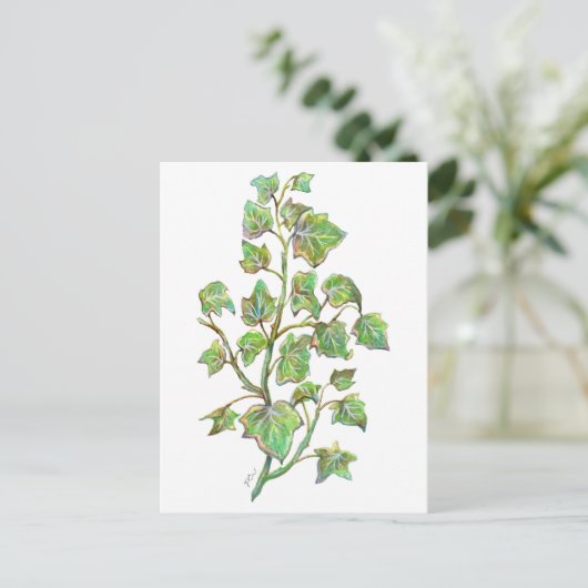 Carte Postale Ivy anglais (Debout devant)