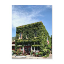 Ivy et Age