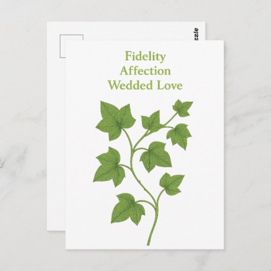 Carte Postale Ivy — Fidélité, affection, amour conjugal (Devant / Derrière)
