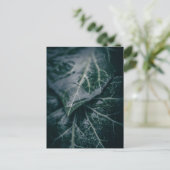 Carte Postale Ivy Floral Nature Photo (Debout devant)