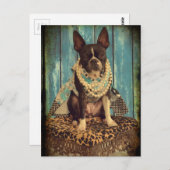 Carte Postale Ivy the Boston Terrier (Devant / Derrière)
