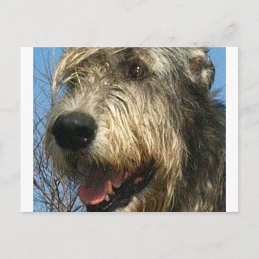 Carte Postale iw.png (Devant)