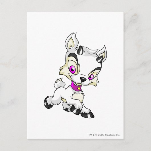 Carte Postale Ixi blanc (Devant)