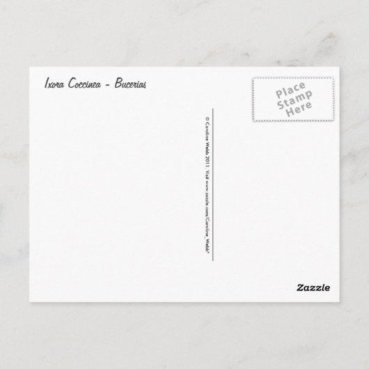 Carte Postale Ixora Coccinea - Fleurs rouges (Dos)