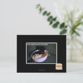 Carte Postale Iz de scawy film ova maintenant? (Debout devant)