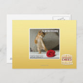 Carte Postale Iz pratiquant le tango d'heure-milliampère (Devant / Derrière)