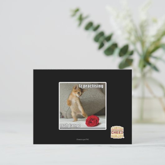 Carte Postale Iz pratique mah tango (Debout devant)