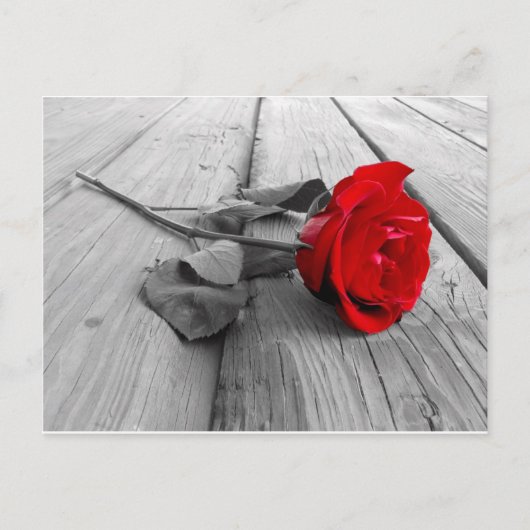 Carte Postale j0440294 (Devant)