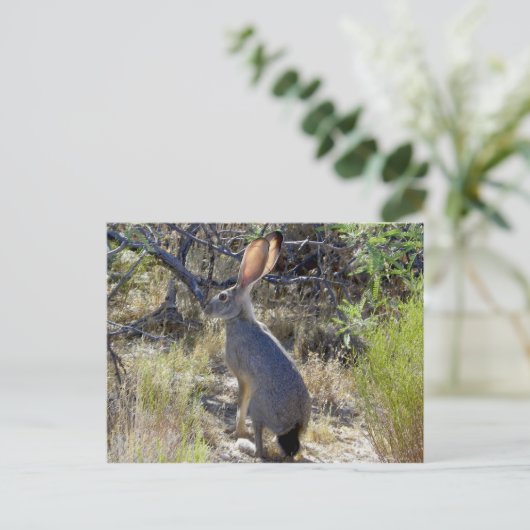 CARTE POSTALE J C K R A B I T (Debout devant)