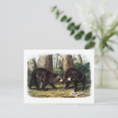 Carte Postale J.W. Audubon - Ours Noir Ursus Americanus (Debout devant)