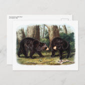 Carte Postale J.W. Audubon - Ours Noir Ursus Americanus (Devant / Derrière)