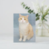 Carte Postale J'abandonne (Debout devant)