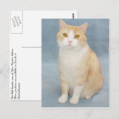 Carte Postale J'abandonne (Devant / Derrière)