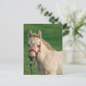 Carte Postale Jac (Debout devant)