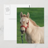 Carte Postale Jac (Devant / Derrière)