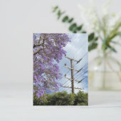 Carte Postale Jacaranda bleu violet (Debout devant)