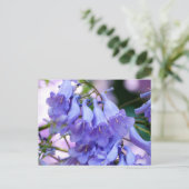 Carte Postale Jacaranda Blossoms (Debout devant)