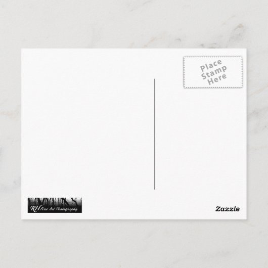 Carte Postale Jacaranda Blossoms (Dos)