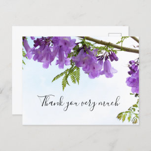 Carte Postale Jacaranda Purple Flowers Australie sur l'arbre